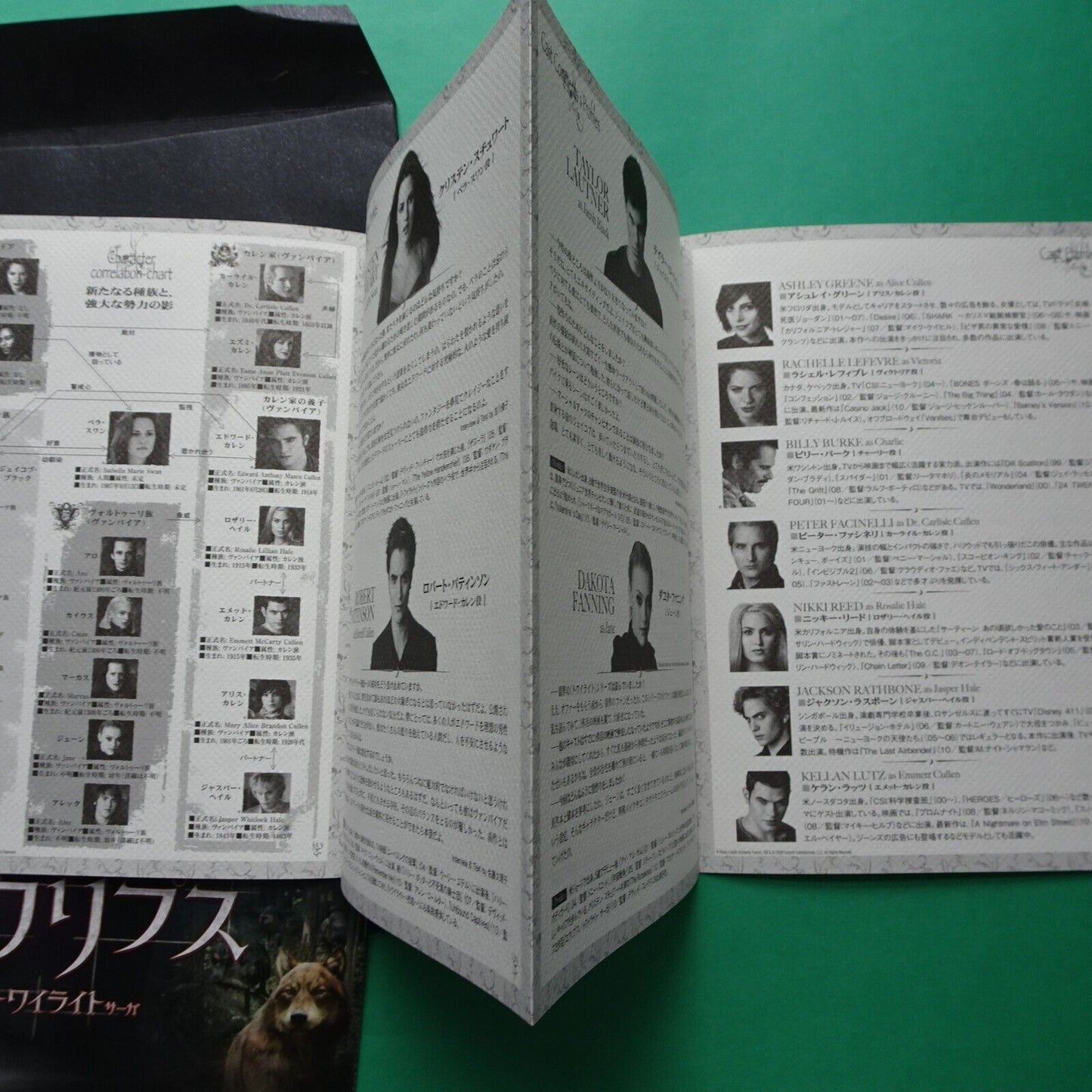 Eclipse Twilight Saga theater program regular versio 2010 Movie Program Japanese