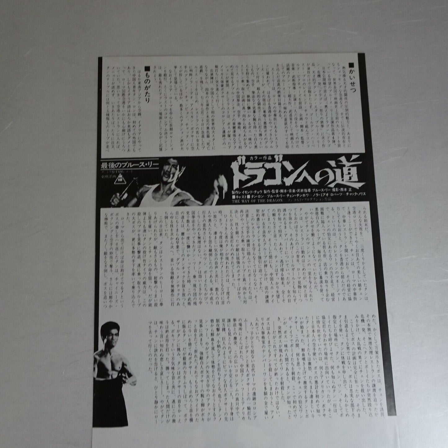The Way of the Dragon 1972 Bruce Lee Movie Japanese Flyer Chirashi B5 mini poste