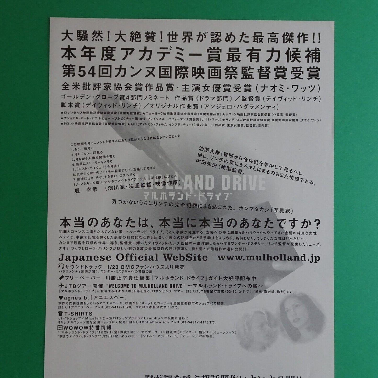 Chirashi David Lynch MULHOLLAND DRIVE 2001 Movie Japanese Flyer B5 flint paper