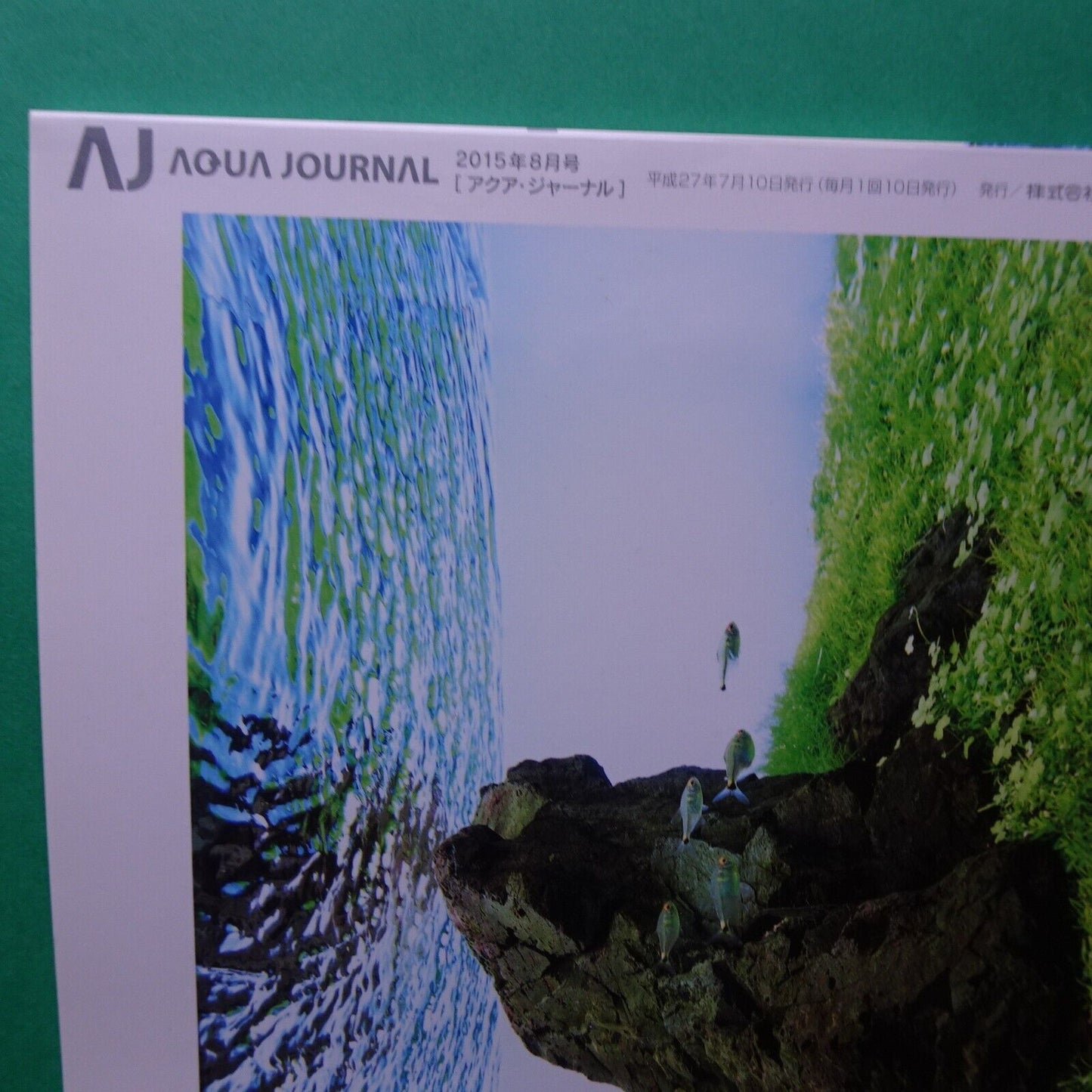 Magazine Aqua Journal No.238 Aqua Design AMANO Japan 2015 Aug Discerning tools WideA4