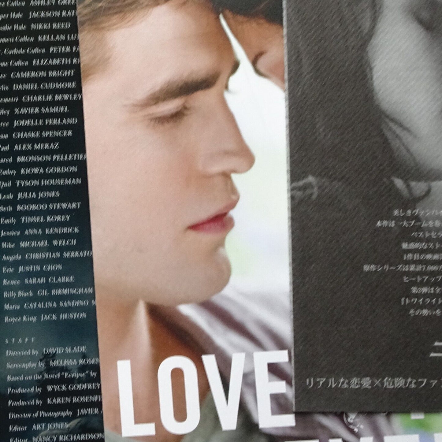 Eclipse Twilight Saga theater program regular versio 2010 Movie Program Japanese