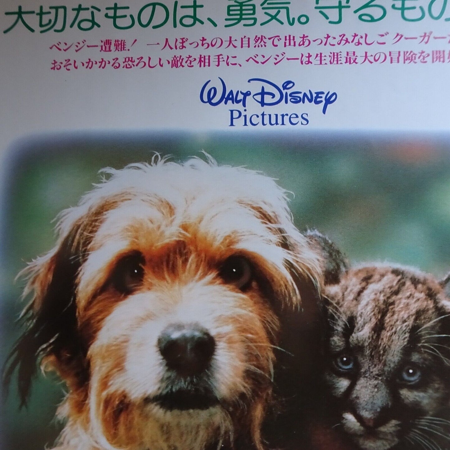 Chirashi Benji the Hunted 1987 Walt Disney Picture movie promo Japanese Flyer B5