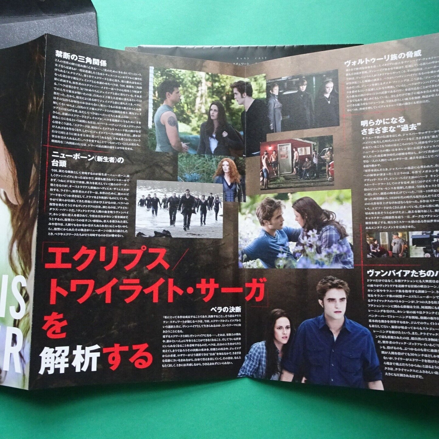 Eclipse Twilight Saga theater program regular versio 2010 Movie Program Japanese