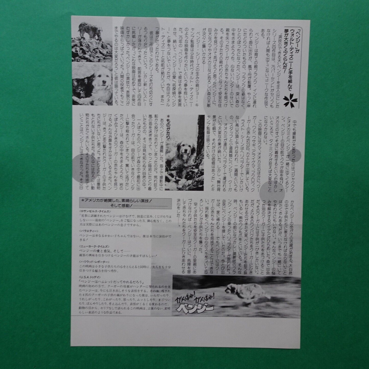 Chirashi Benji the Hunted 1987 Walt Disney Picture movie promo Japanese Flyer B5