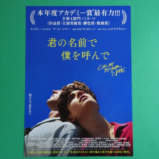 Timothee Chalamet Call Me by Your Name 2017 Movie Japan Flyer B5 CHIRASHI