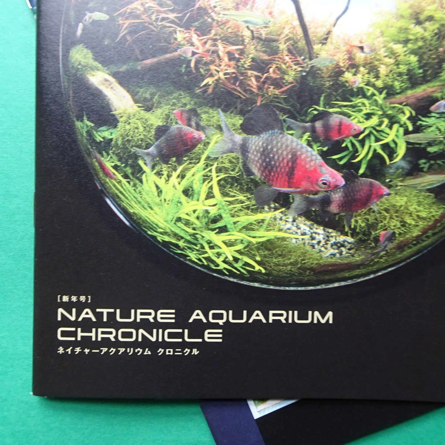 Magazine Aqua Journal No.314-316 3 issues Aqua Design AMANO Japanese B5 size 2021 - 22
