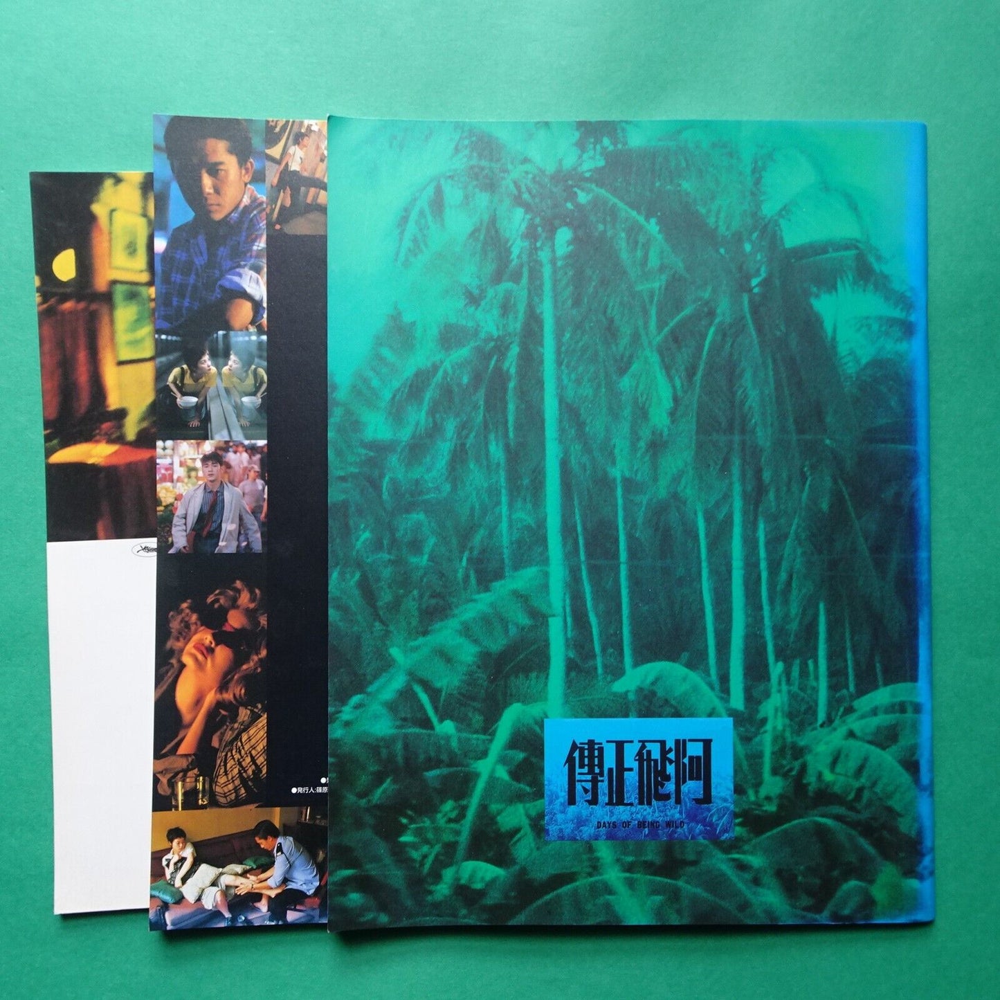Wong Kar Wai Lot of 3 Movie program Japanese Happy Together Days of Being Wild C