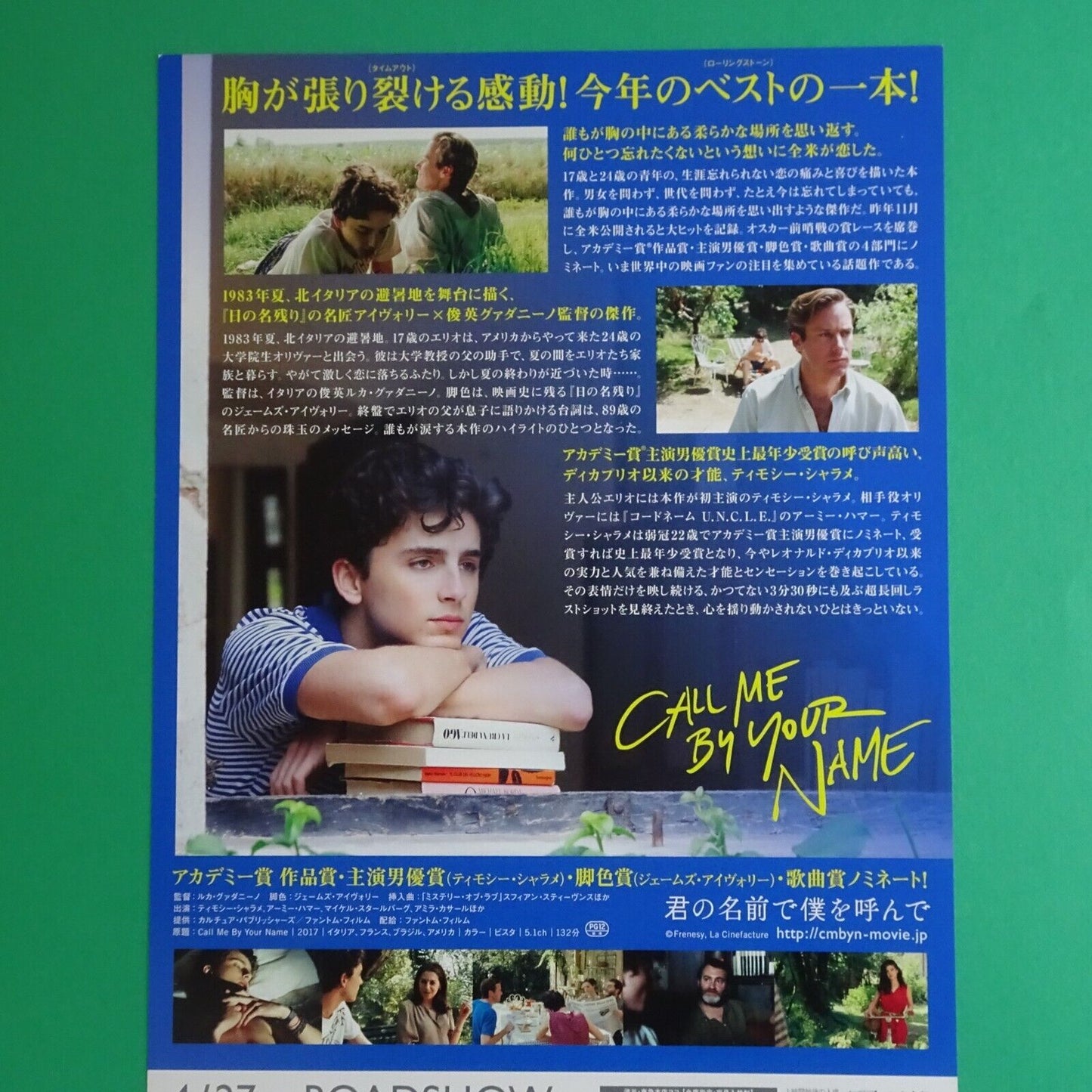 Timothee Chalamet Call Me by Your Name 2017 Movie Japan Flyer B5 CHIRASHI