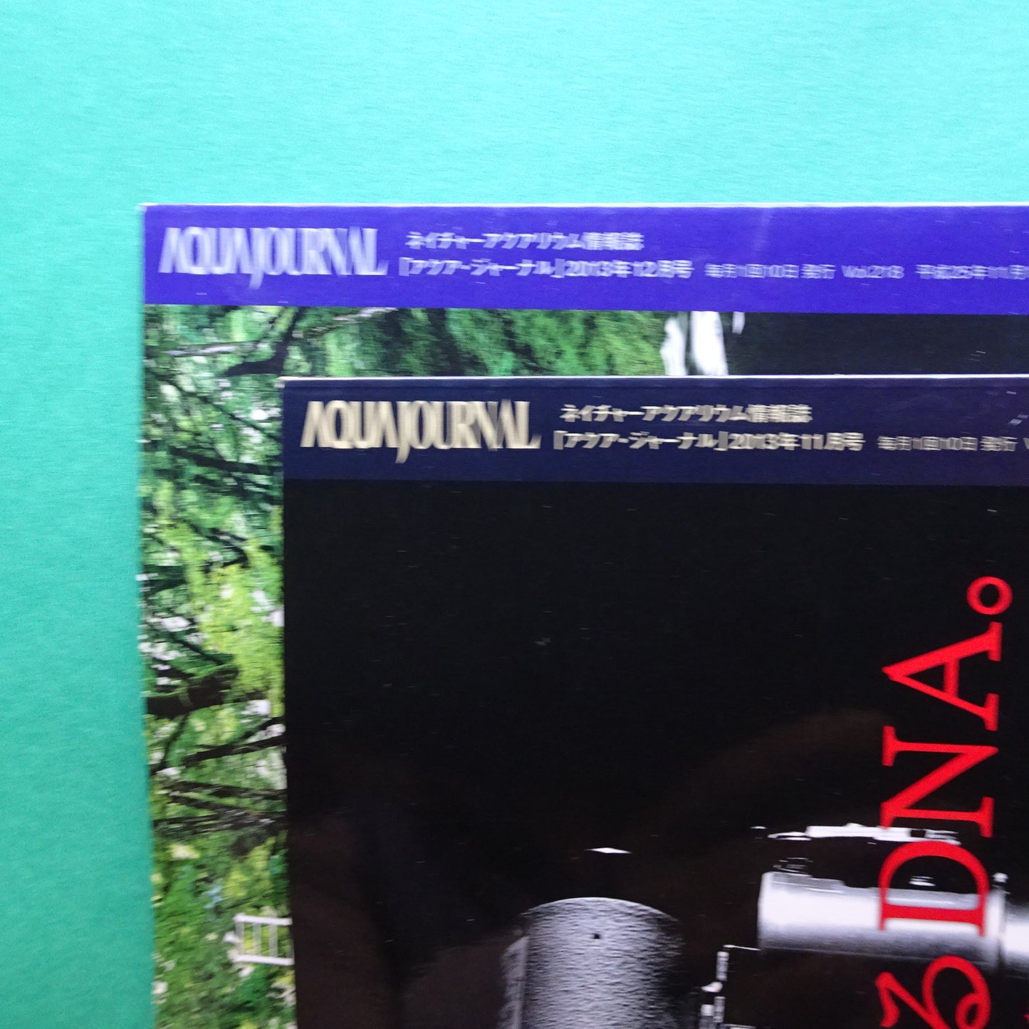 Magazine Aqua Journal No.217-218 2 issues Aqua Design AMANO Japan 2013 Nov Dec Wide A4 size / Tall Letter size 29.6 x 22 cm  60  pages each