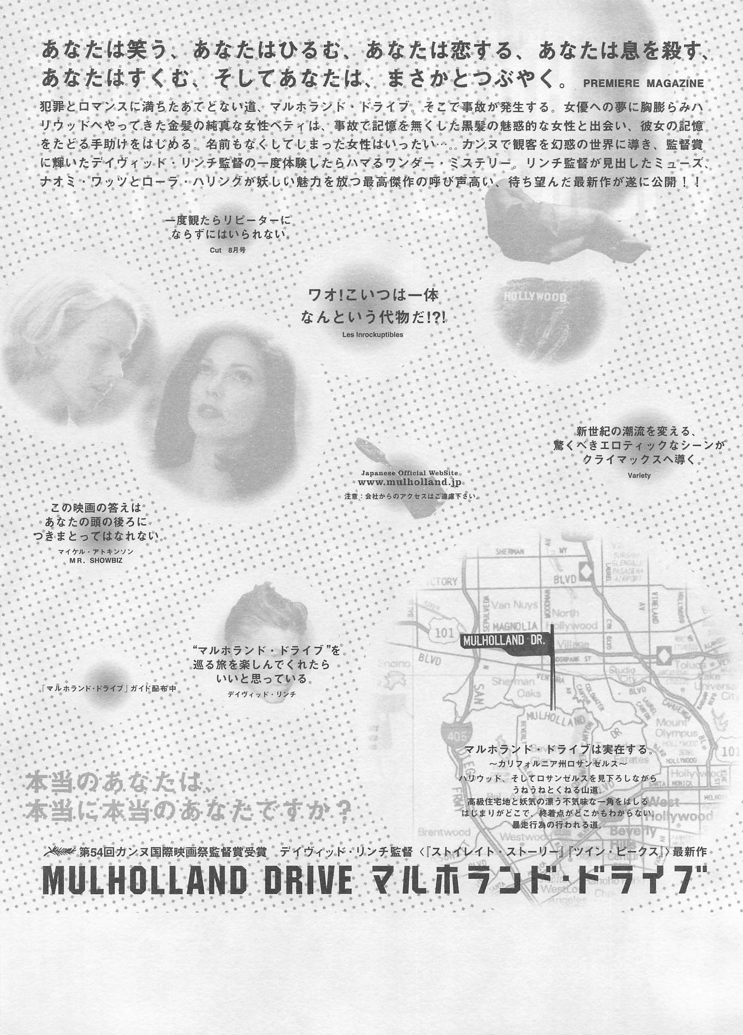 David Lynch MULHOLLAND DRIVE 2001 Movie Japanese Flyer Chirashi B5 54th Cannes