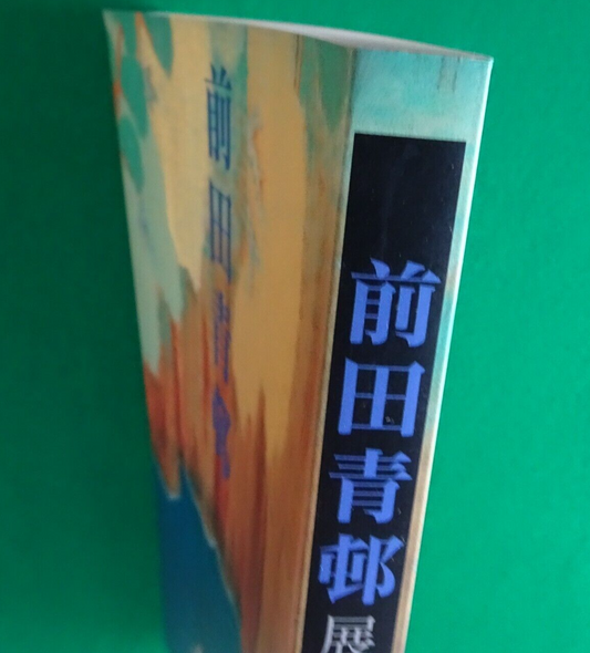 Catalog Maeda Seison 2001 exhibition catalogue Japanese Letter size 212 pages