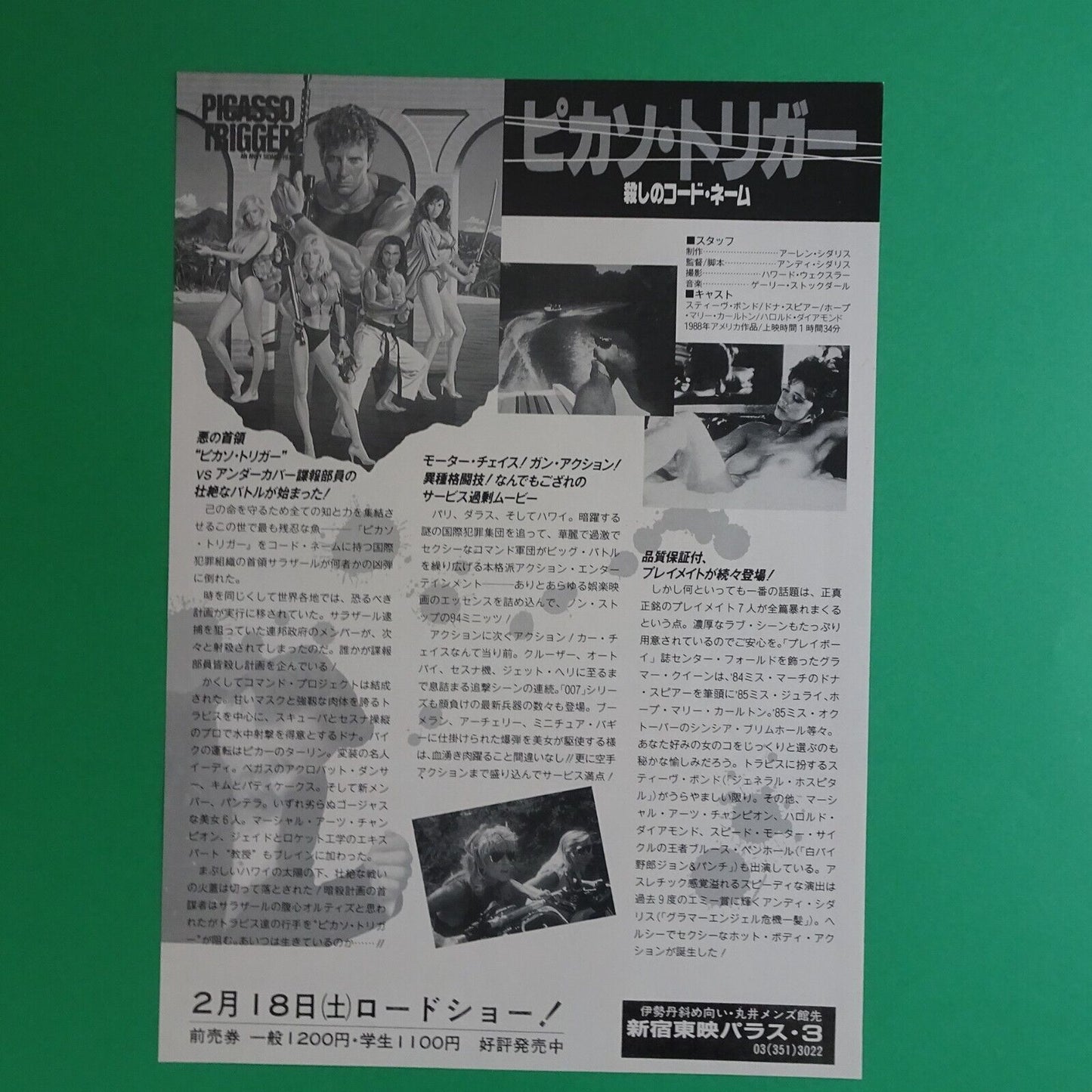 Picasso Trigger 1988  Dona Speir Andy Sidaris Movie Japanese Flyer Chirashi B5